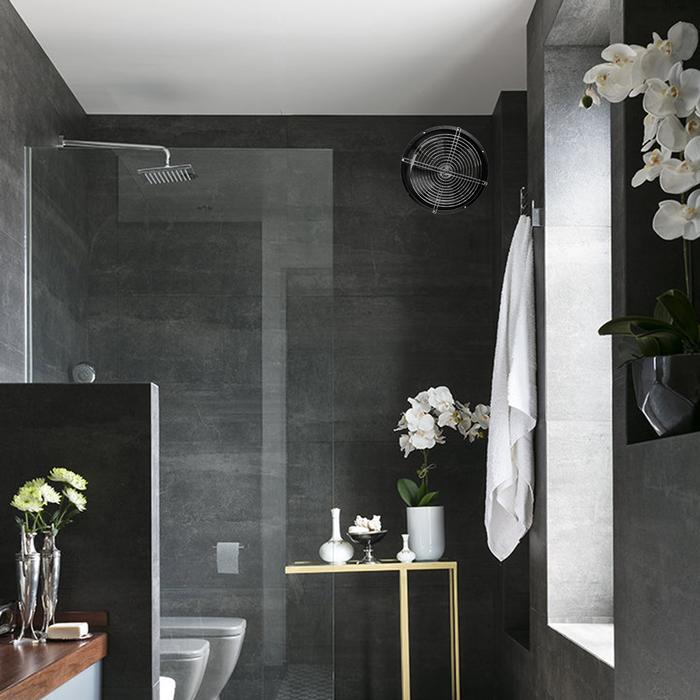 Extractor Axial de Aire Extractores Axiales de Aire para Muro y Pared